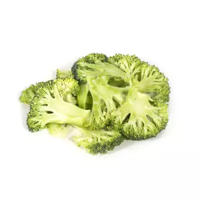 Sammic Active Seri İçin FC-14D Dilimleme Diski, 14 mm, Tek Bıçaklı, 1010411 - 2