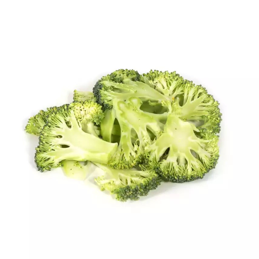 Sammic Active Seri İçin FC-20+ Dilimleme Diski, 20 mm, Tek Bıçaklı, 1010252 - 2