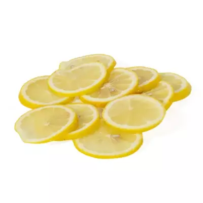 Sammic Compact Seri İçin FCS-1 Dilimleme Diski, 1 mm, 1010530 - 2